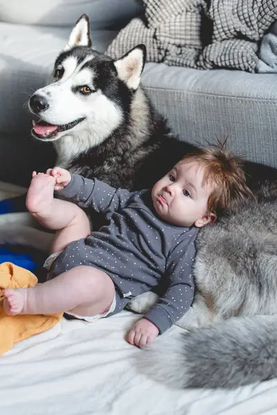 Lifestyle u vás doma, Newborn focení - Fotografie č. 2