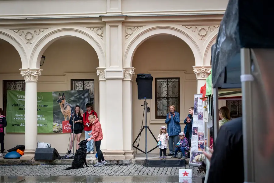 Focení eventů a akcí Lucie Duschková - Fotografie č. 7