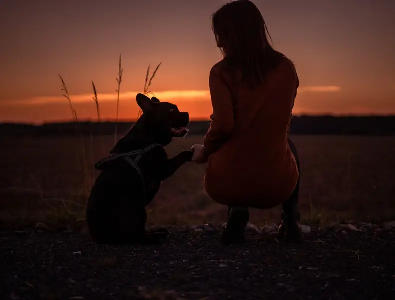 Zvířata a domácí mazlíčci - Fotografie č. 3