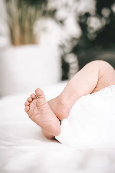 Newborn focení - Fotografie č. 9
