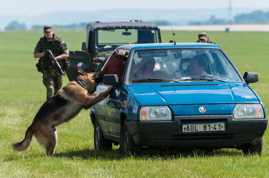 Reportážní fotograf Vítězslav Jančák - Fotografie č. 10