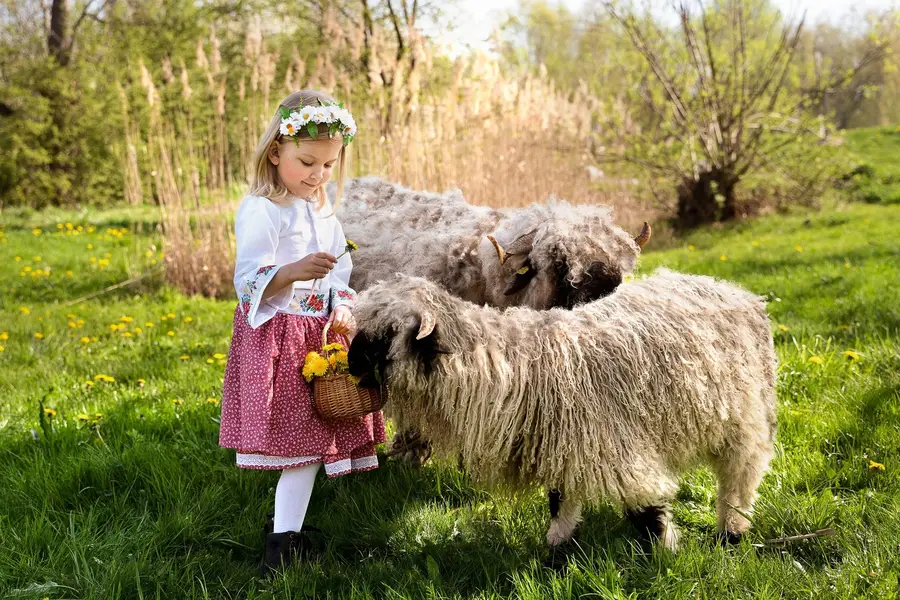 Focení zvířat - Fotografie č. 10