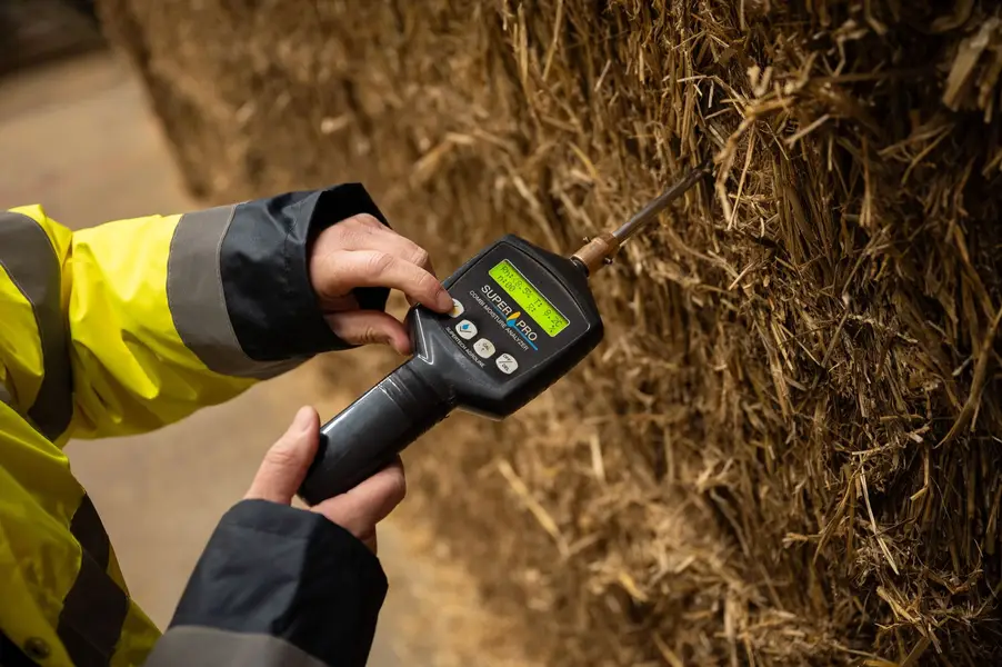 Business fotograf - Fotografie č. 28