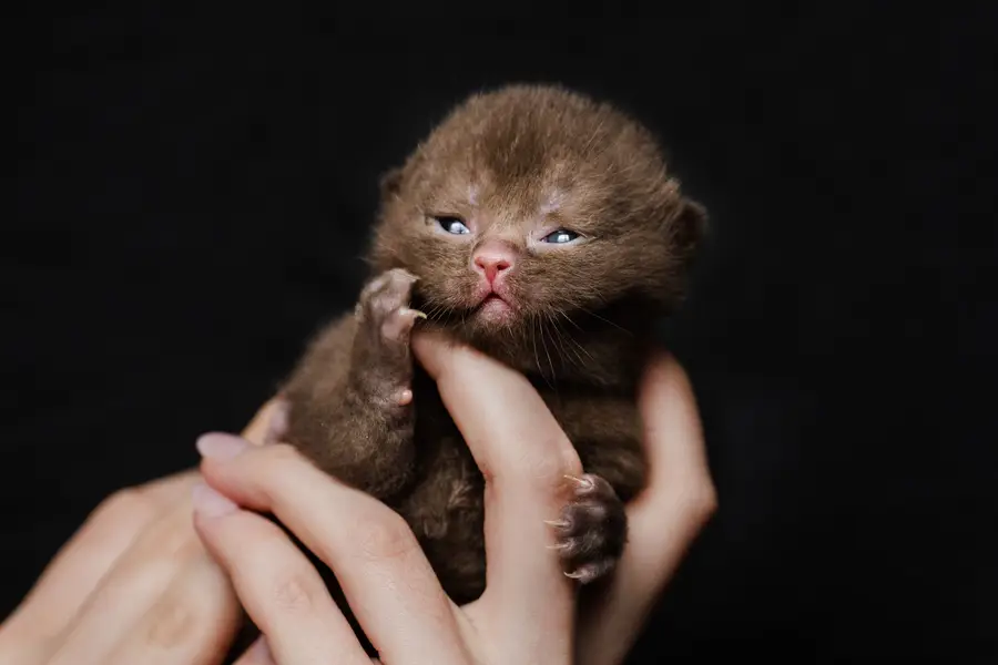 Focení zvířat - Fotografie č. 28