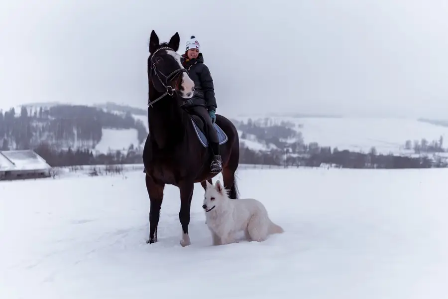 Zvířata a domácí mazlíčci - Fotografie č. 7