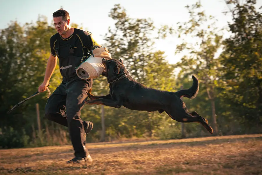 Focení eventů a akcí Filip Krátký - Fotografie č. 5