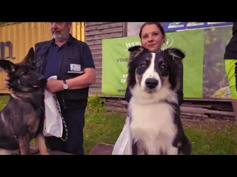 Svatební kameraman Jiří Hucl - Fotografie č. 8