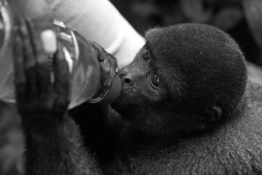 Focení zvířat Markéta Jonešová - Fotografie č. 6