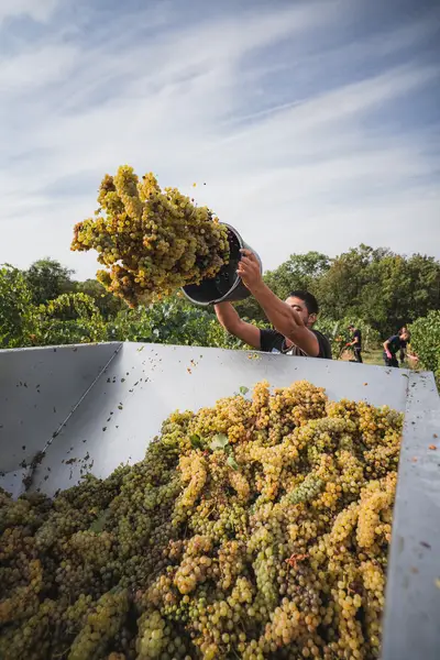 Reklamní fotograf - Fotografie č. 8