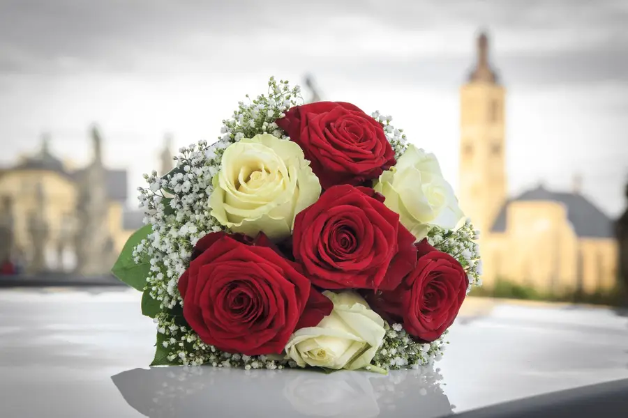 Svatební fotograf Tereza Zukalová - Fotografie č. 7