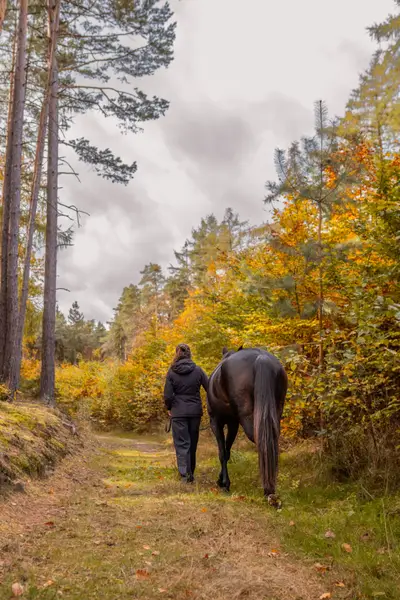 Focení zvířat Tamika Bydžovská - Fotografie č. 3