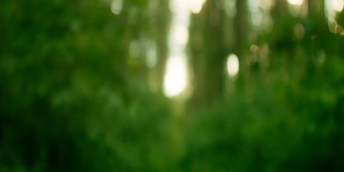 Svatební kameraman David Kučera - Fotografie č. 3