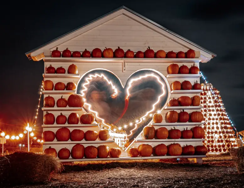 Focení eventů a akcí - Fotografie č. 19