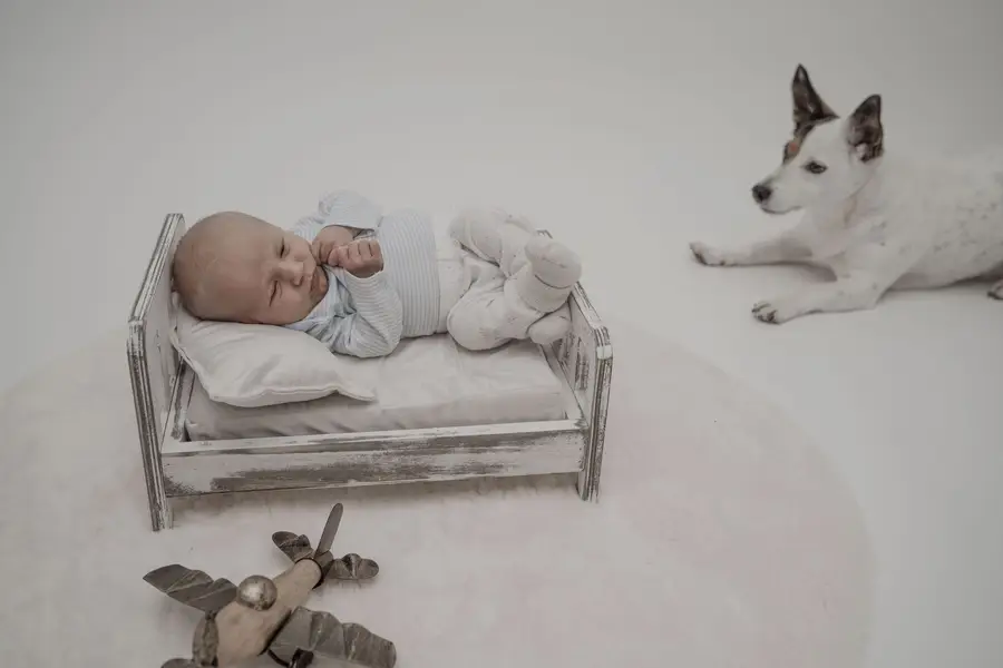 Miminkovské focení, Newborn focení - Fotografie č. 6