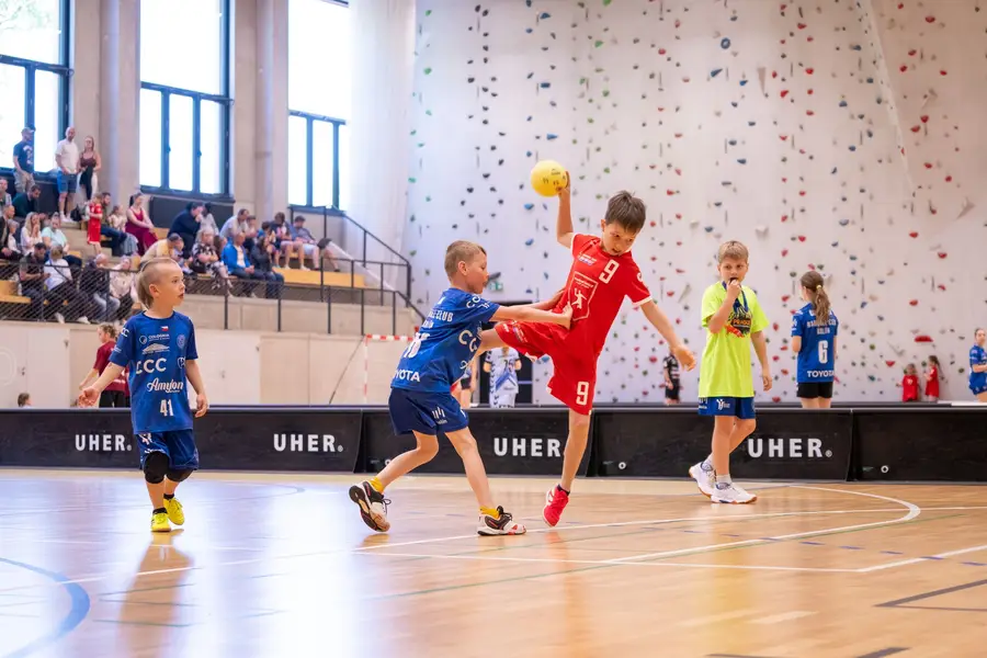 Sportovní fotograf František Procházka - Fotografie č. 7