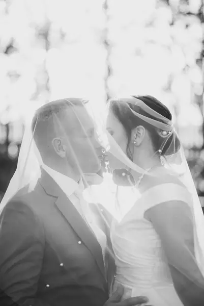 Svatební fotograf Petr Čada - Fotografie č. 10
