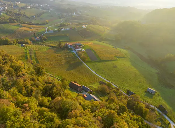 Focení nemovitosti dronem: kdy se vyplatí a kolik stojí