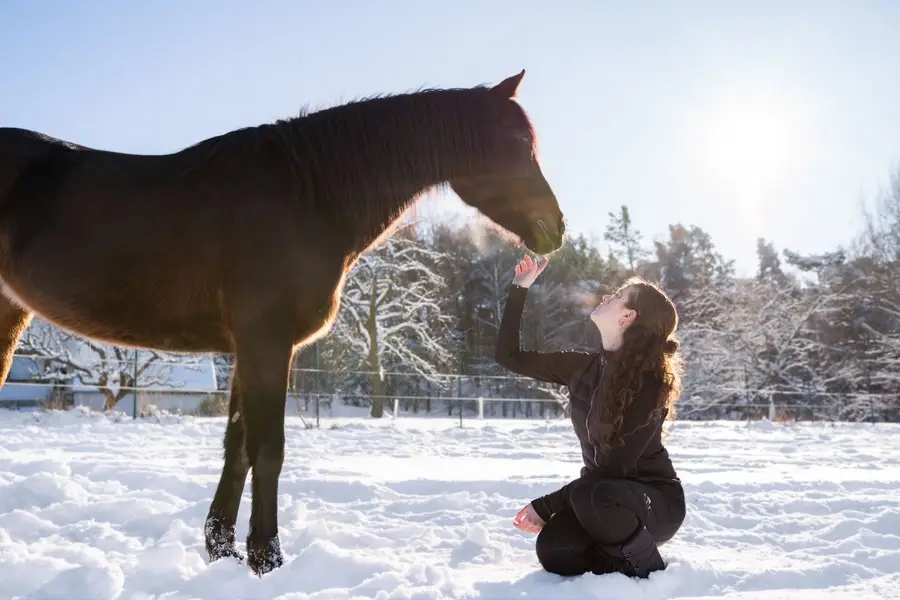Focení zvířat Tamika Bydžovská - Fotografie č. 8