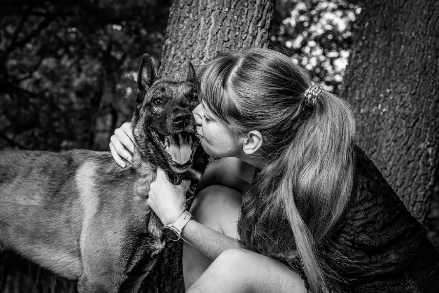 Focení zvířat - Fotografie č. 4