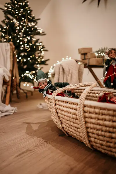 Rodinný fotograf Barbora Ludvíková - Fotografie č. 8