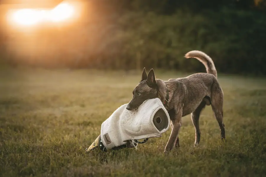 Focení eventů a akcí Filip Krátký - Fotografie č. 7