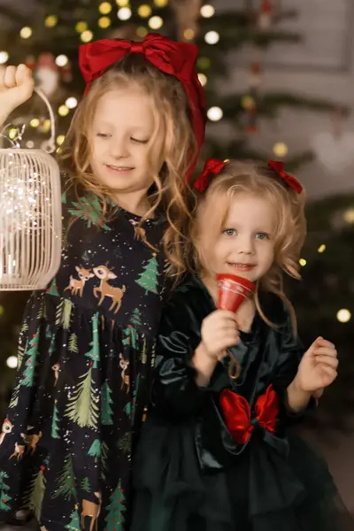 Vánoční focení - Fotografie č. 5