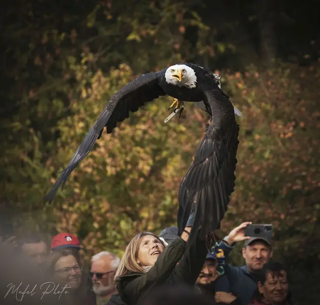 Focení eventů a akcí - Fotografie č. 24