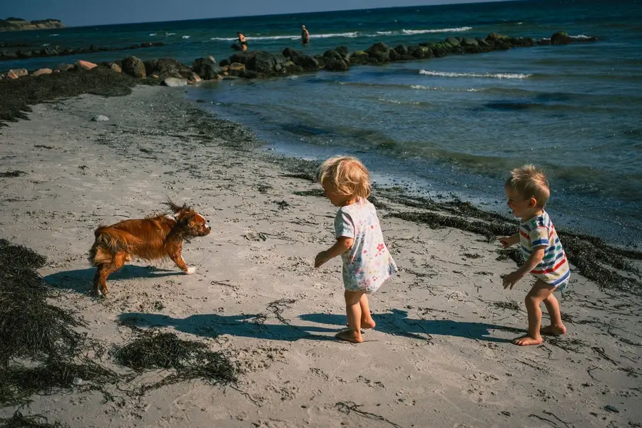 Rodinné focení - Fotografie č. 13