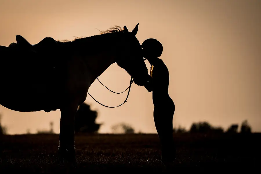 Focení zvířat - Fotografie č. 16