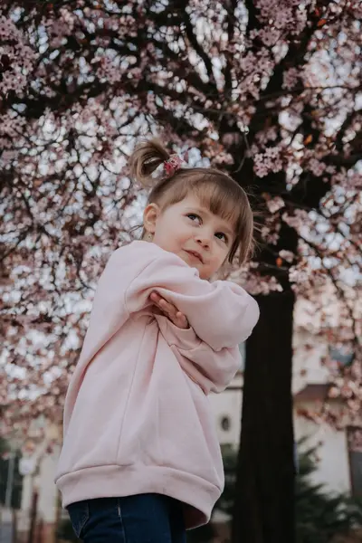 Rodinné focení - Fotografie č. 2