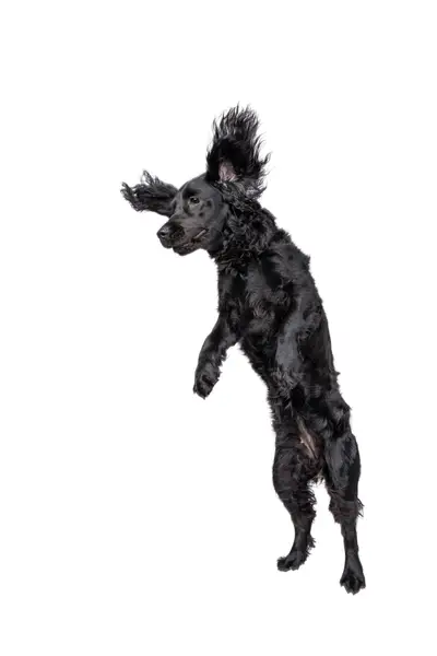 Produktový fotograf Šimon Kadula - Fotografie č. 2