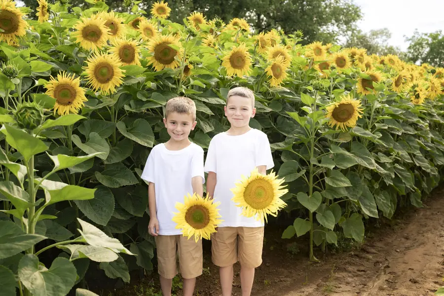 Rodinné focení - Fotografie č. 15