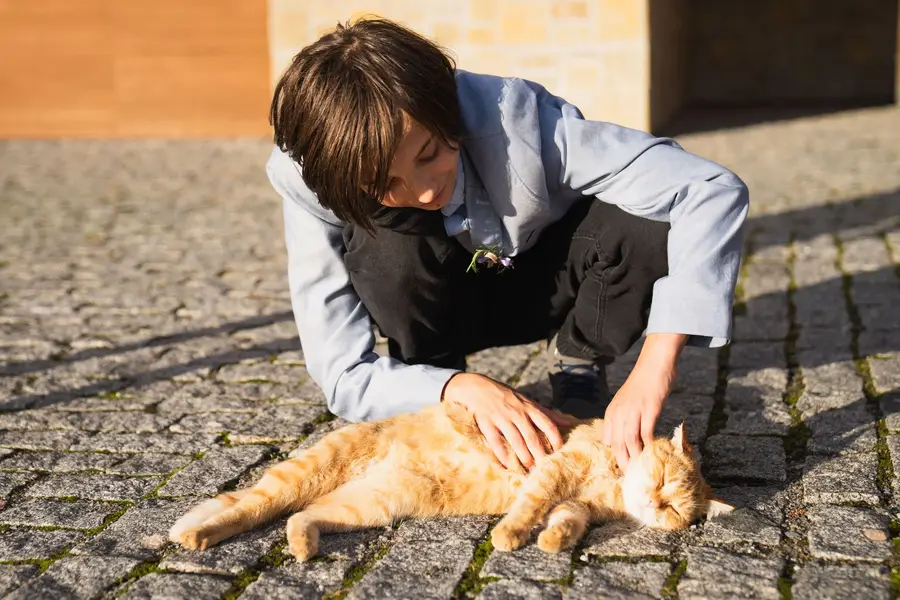 Zvířata a domácí mazlíčci - Fotografie č. 1