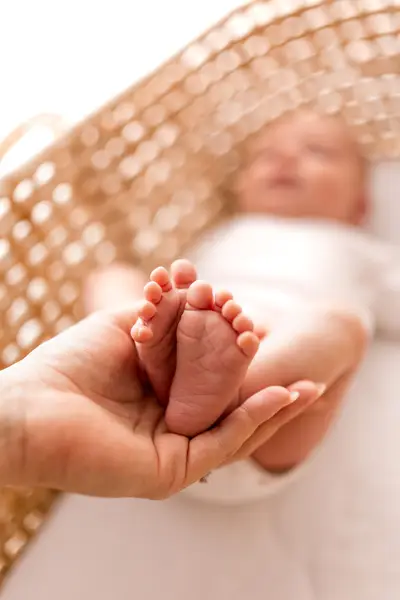 Newborn focení - Fotografie č. 4