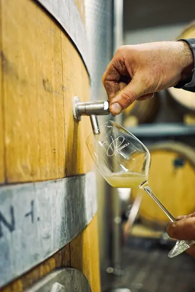 Reklamní fotograf - Fotografie č. 17