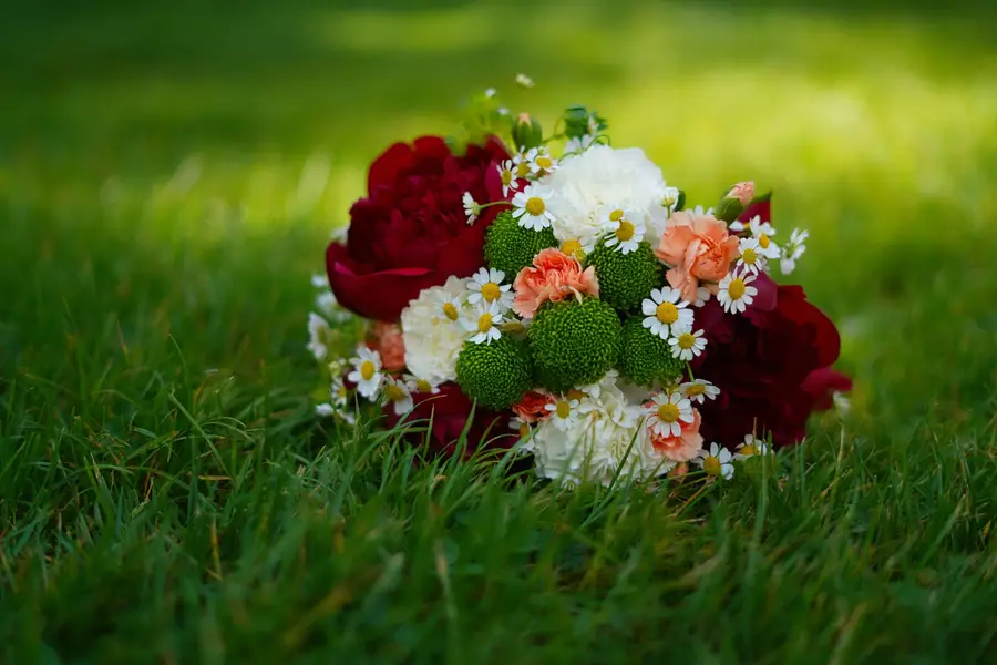 Celodenní svatební focení , Celodenní focení - Fotografie č. 4