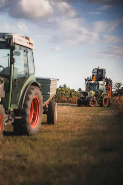 Reklamní fotograf - Fotografie č. 9