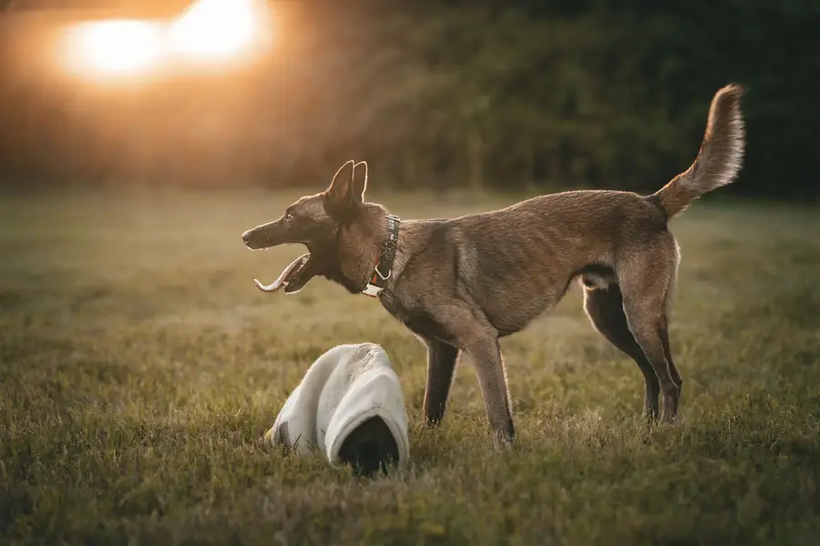 Focení eventů a akcí Filip Krátký - Fotografie č. 6