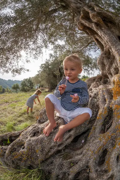 Rodinné focení Tomas Marek - Fotografie č. 8