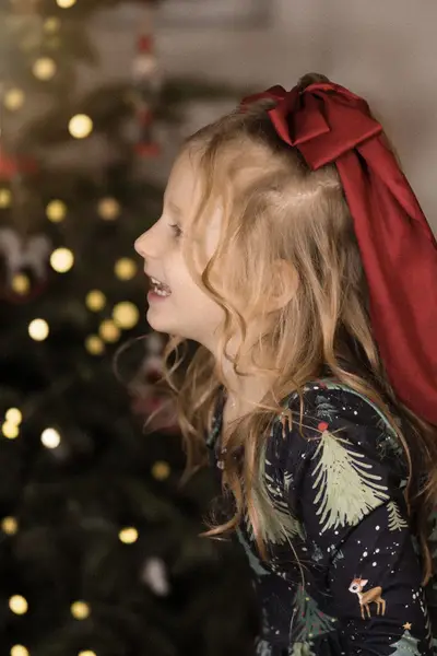 Vánoční focení - Fotografie č. 10