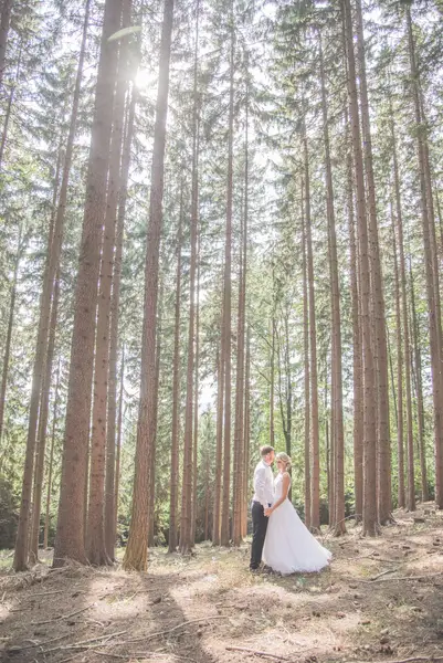 Půldenní svatební focení , Půldenní focení - Fotografie č. 4