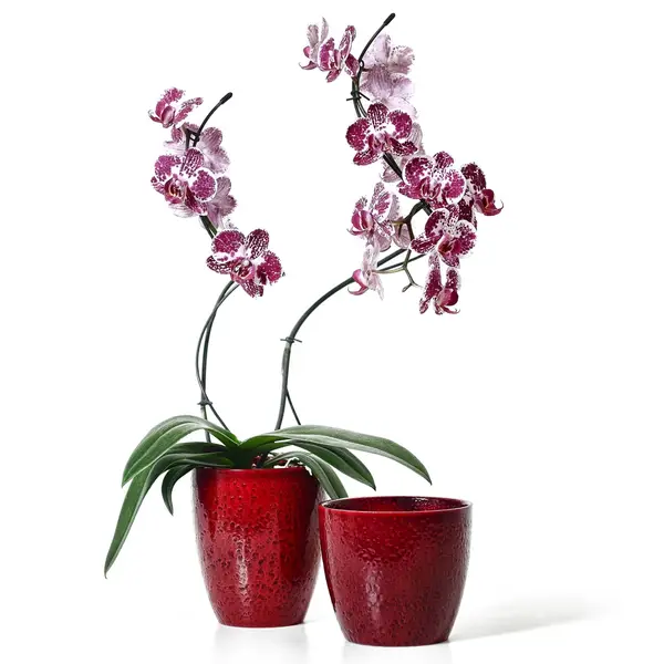 Produktový fotograf - Fotografie č. 6