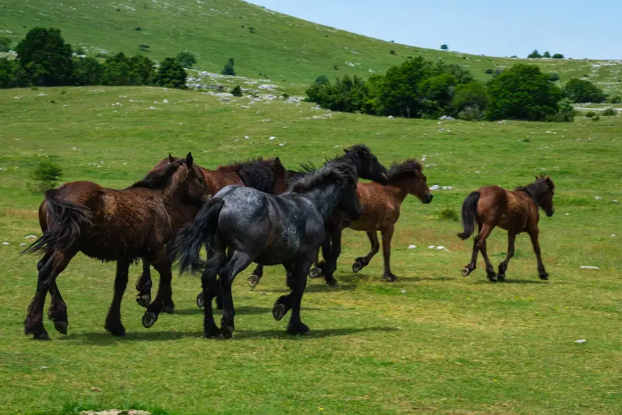Focení eventů a akcí - Fotografie č. 21