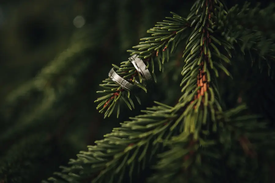 Svatební focení, Celodenní focení - Fotografie č. 3