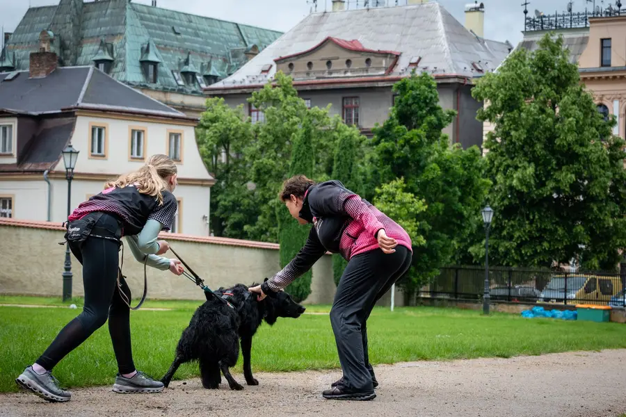 Focení eventů a akcí Lucie Duschková - Fotografie č. 1