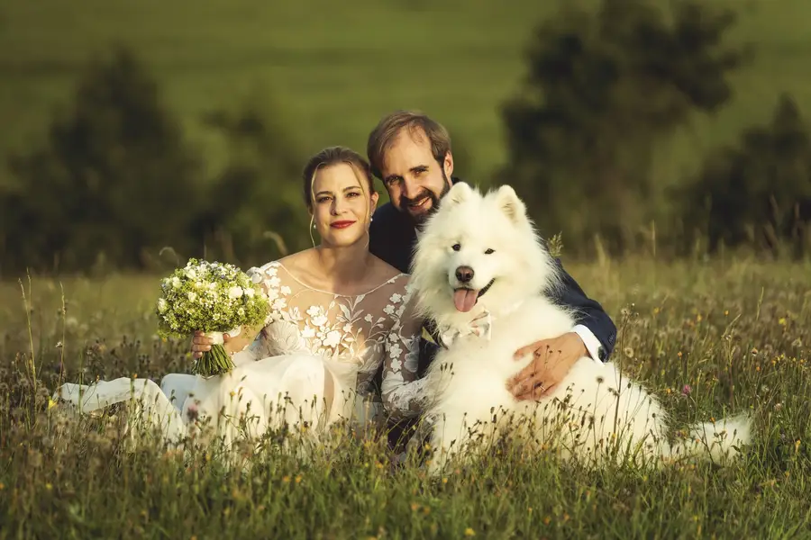 Svatební fotograf Tomáš Šnírer - Fotografie č. 2