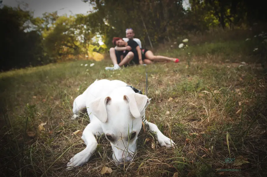 Fotograf párů Barbora Linhová - Fotografie č. 2