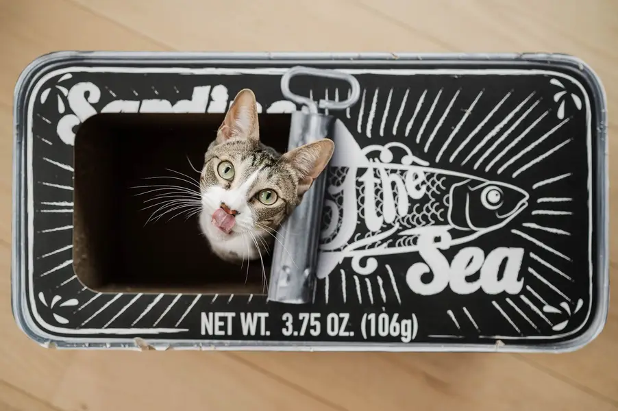 Fotograf zvířat a domácích mazlíčků Oliver Beneš - Fotografie č. 3