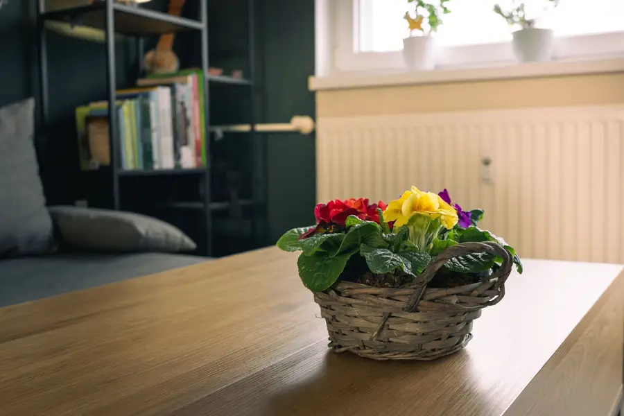 Realitní fotograf - Fotografie č. 1