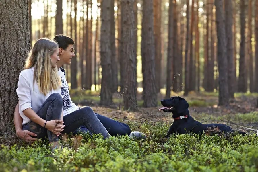 Fotograf zvířat a domácích mazlíčků Petr Přibyl - Fotografie č. 5